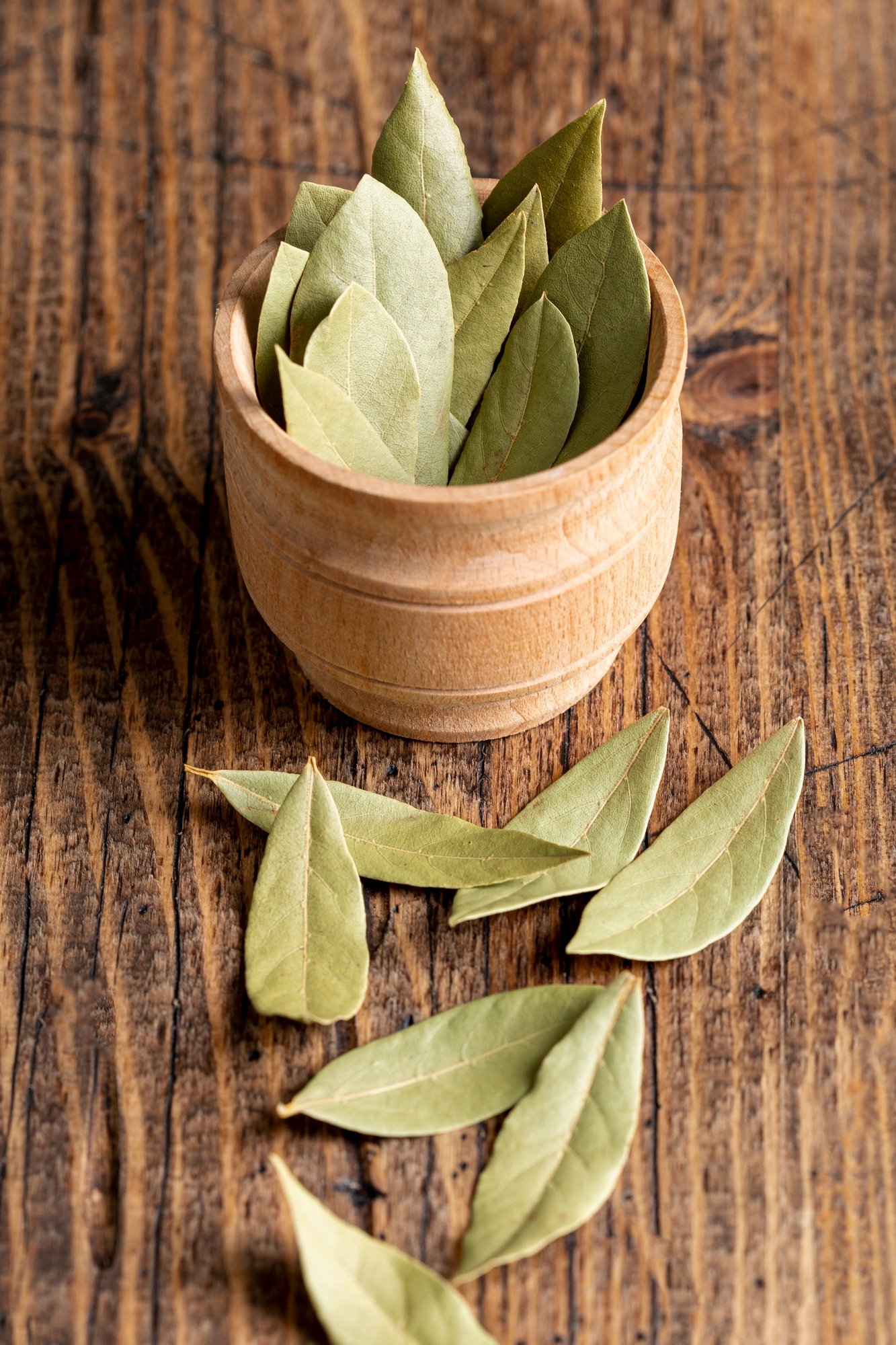 Bay Leaf